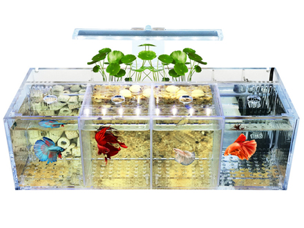 Custom, LED and Acrylic plastic aquarium tank small Aquariums